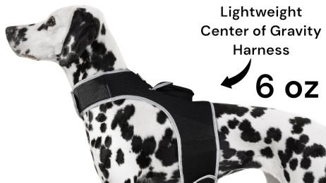 Inexpensive Dog Locator Device Waterproof + Perimeter Fencing Settings Size:XXL