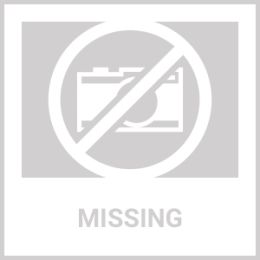 41 Inch Tiered Pedestal Fish Fountain Birdbath