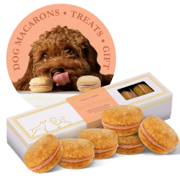 Dog Macarons - Count of 6 (Dog Treats | Dog Gifts) (Flavor: Pumpkin)
